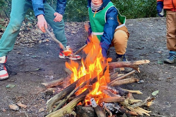 1ab59f9c 03ff 4e9a 8e45 1ac010246737