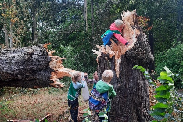 7796329e 667b 43d0 a4f4 0343ddad9a4e