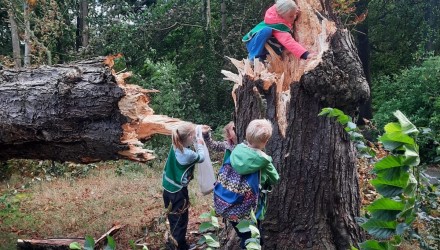 7796329e 667b 43d0 a4f4 0343ddad9a4e