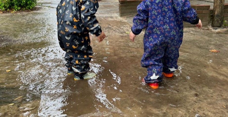 D7c0d310 03ff 4451 ad87 386349ed47d7